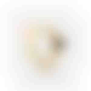 Auskarai | JUPITER_GOLD