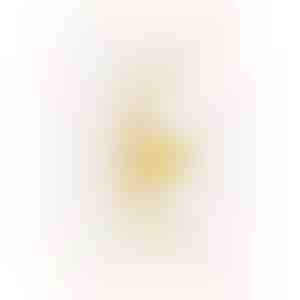 Auskarai | CORA_GOLD