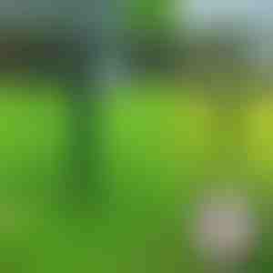 Ultragarsinis gyvūnų atbaidymo įrenginys | SONICFIELD