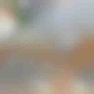 Daugiafunkcinė daržovių pjaustyklė