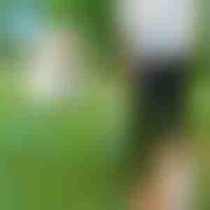 Laisvų rankų pavadėlis šunims | CROSSLEASH