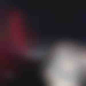 Įspėjamieji žibintai (2+2 juostos) | DYNAMICAR