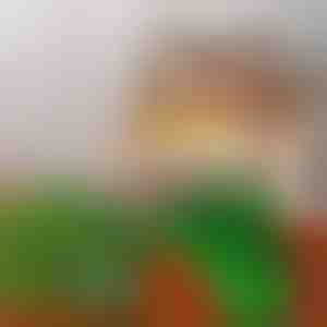 Sparčiai auganti kalėdinė eglutė | PUFFTREE