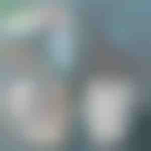 Kačių kraiko semtuvėlis | SCOOPY