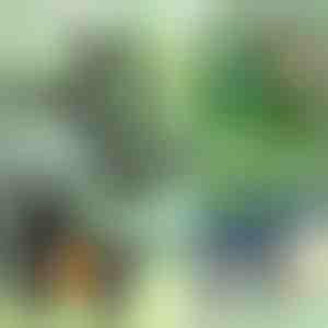 Augalų spaustukai (14 vnt.) | PLANTPIN