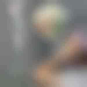 Reguliuojama plaukų džiovintuvo rankena | FENLUSK