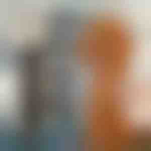 Mažai triukšmo kelianti gyvūnų plaukų kirpimo mašinėlė | GULAMACHINE