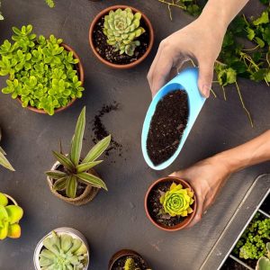 Dirvožemio semtuvėlis | SCUP