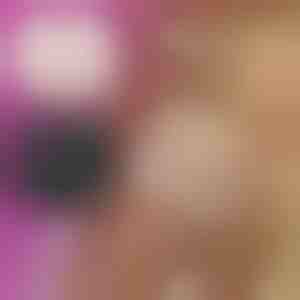 Moteriškos gėlėtos nėrinių kelnaitės (3 vnt.) | LACEY