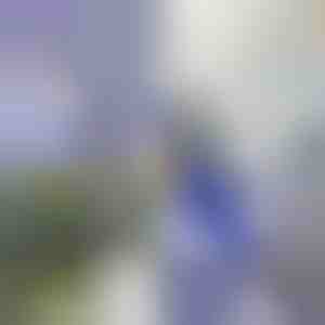 Vandens purkštuvas | WATERJET