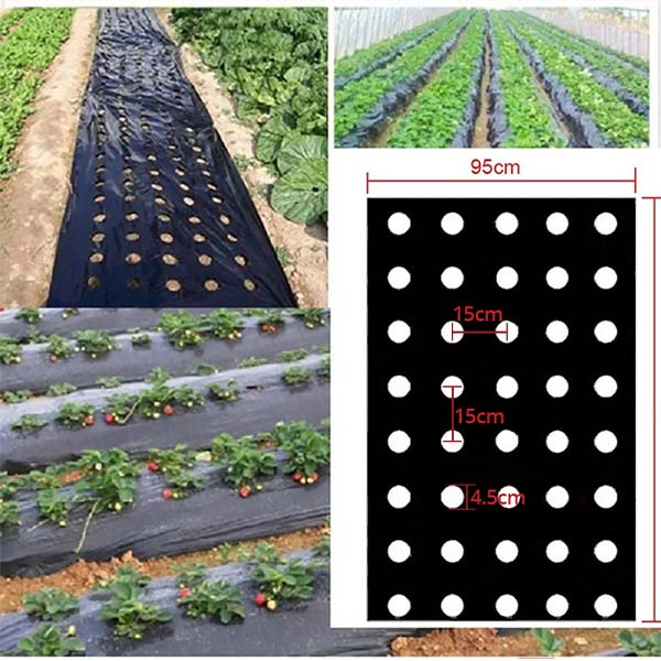 EGUARD13000__e6bde80