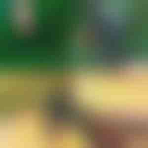 genėjimo ir skiepijimo žirklės | MASTERCUT