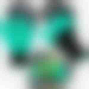 Daržo pirštinės + nagai NEMOKAMAI