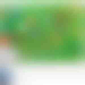 26 papildomos veltinio gyvūnų figūrėlės | ZOOLAND