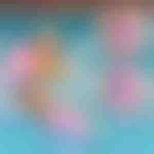 Papildomas BUDDYSWIM maudymosi kostiumėlis | SWIMYSUITS