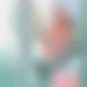 Tikslus dantų valiklis | LBRUSH