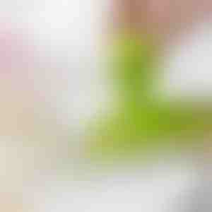 Česnakų ir imbierų tarka | MINIGRINDER