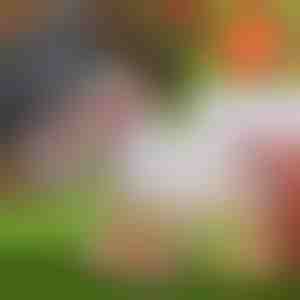 30 papildomų PROVACUUMSEALER maišelių | SEALERBAG