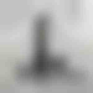 Universalus kirpimo trimeris | SHAVIX