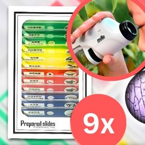 9x skaidrių | SPECIMEN