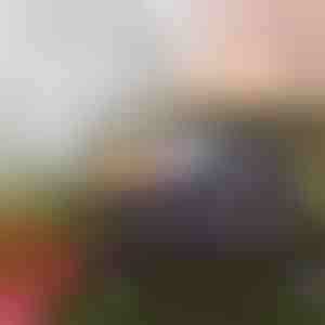 Tinklinė danga vežimėliui VOZIMAX | VOZINET