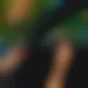 Automobilio durų sandarinimo juosta (5m) | EVOSEAL