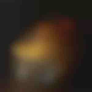 Drėkinimo fontanėlis augintiniams | PETSPRINGLE