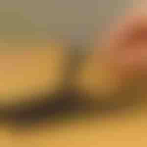 10 dalių varžtų ištraukiklių rinkinys | SCREWX