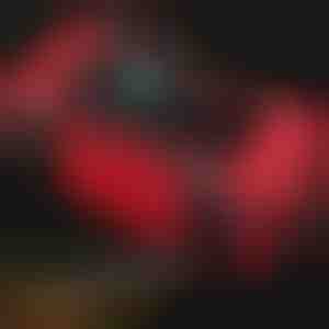 Išmanusis transporto priemonių akumuliatorių įkroviklis | EMERGIX