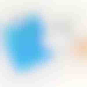 4x sausos šluostės šlavimui + 20x dulkių pirštinės NEMOKAMAI | SWEEPICLOTHGLOVES