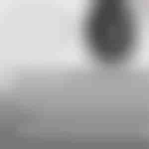 Greito sandarinimo padangų taisymo vinys | VULCOFIX