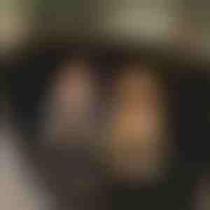 Šuns neperšlampamas automobilio galinės sėdynės užvalkalas | CARIPET