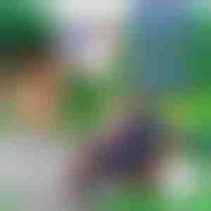 10+10 NEMOKAMŲ putplasčio strėlių BLASTKID | F2OAMBULLETS