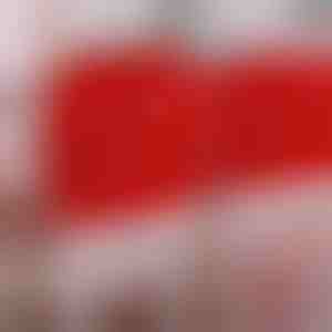 Šventiniai kėdžių užvalkalai 4 vnt. | SANTASEAT