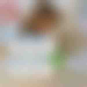 6 vienkartiniai maišeliai + utėlių šukos NEMOKAMAI