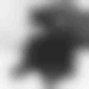 Amortizatoriaus stebulės išplėtimo įrankis | STRUTRA