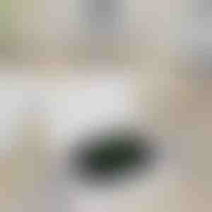 Nešiojamas laikrodžio įkrovimo bankas | WATCHBANK