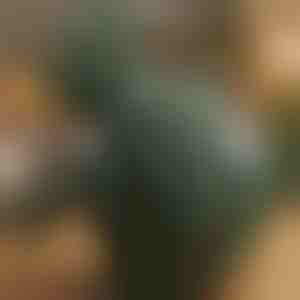 Šildomas šiacu masažuoklis | MASSORA