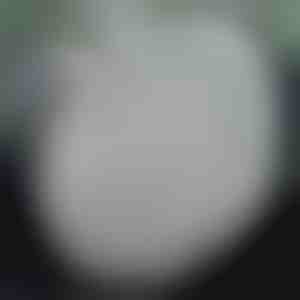 Apsauginis vairo uždangalas